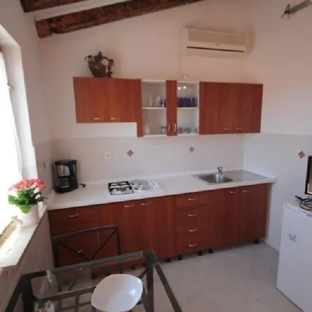 Studio-wohnung In Novigrad * Karpinjan